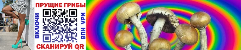 маркетплейс Telegram  где найти наркотики  Обь  Галлюциногенные грибы Psilocybine cubensis 
